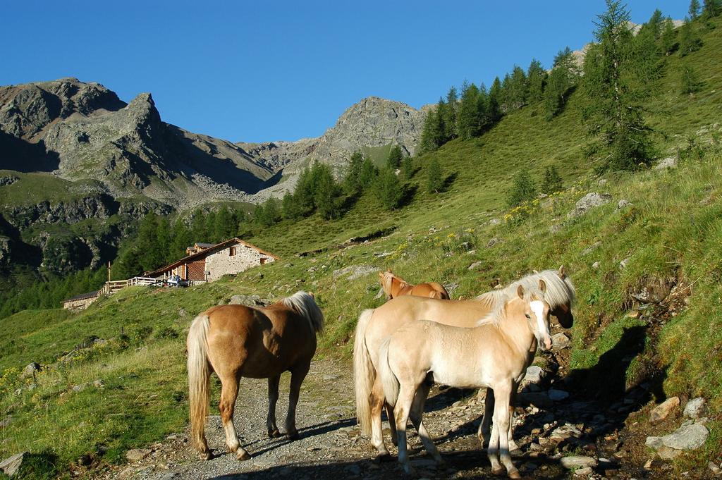 Appartamenti Rabbi Fonti Bagni di Rabbi Zewnętrze zdjęcie