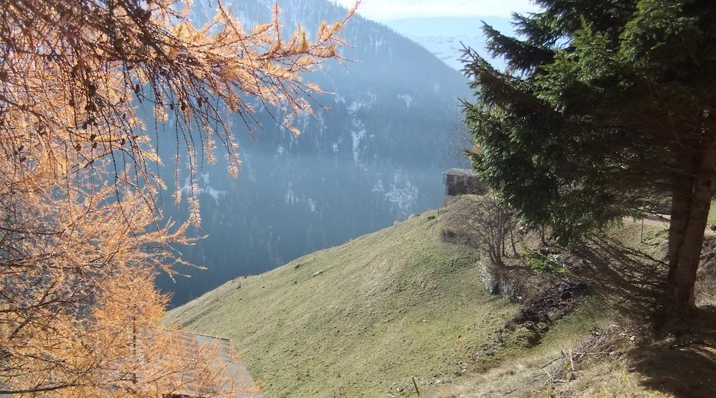Appartamenti Rabbi Fonti Bagni di Rabbi Zewnętrze zdjęcie